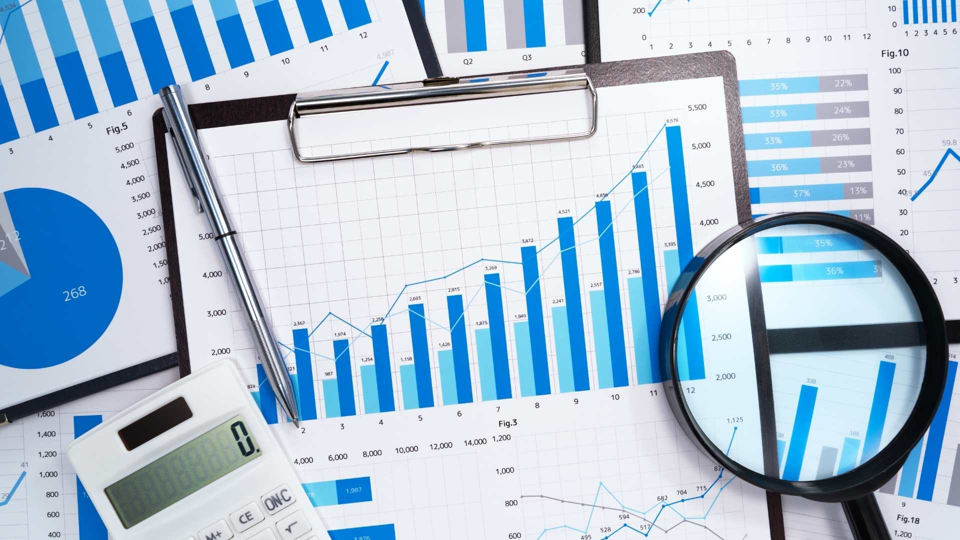 Financial Statement Analysis and Company Valuation GFSACV01